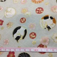 和柄生地　ねむり猫