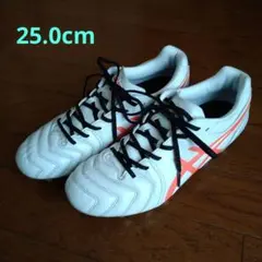 アシックス　サッカースパイク　DS LIGHT 25.0cm