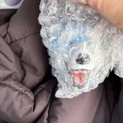 一番くじ MAN WITH A MISSION H賞 フェイスマグネット