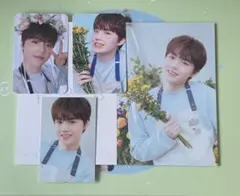 blooming treasureトレカ ドヨン