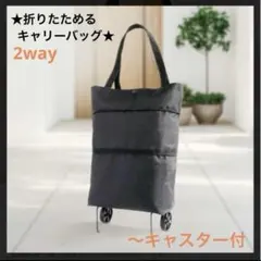 新品　★ 折りたためる　キャリーバッグ★〜キャスター付き　シンプルデザイン　折畳
