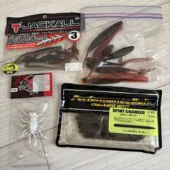 36 ワームまとめ売り　引退セット　スパイニークローラー　忍虫　バス釣り