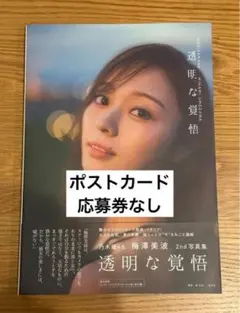 Item thumbnail for item 435349b8-2f2b-45de-a1ce-d286e5ec4303