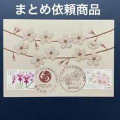 みこにゃん様 リクエスト 3点 まとめ商品