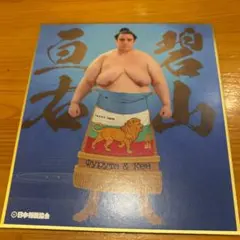 Item thumbnail for item 4789d06a-d101-4ea4-898c-897ff093d3cb