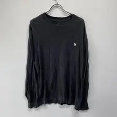 Abercrombie&Fitch  灰/グレーメンズXL  K2297