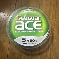 Item thumbnail for item e39fa5cc-c8b8-4fdc-aba1-683ced655f66