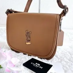 新品未使用】 COACH×SNOOPY ポーチ F65195 タグ付 - メルカリ
