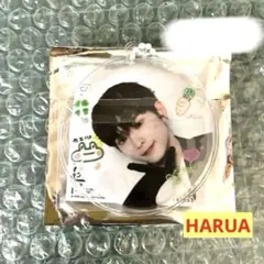 &TEAMハルアHARUA 缶バッジ　キーリング　セカナン