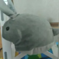 うさぎ ぬいぐるみ ポーチ 小物入れ グレー