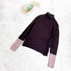 Item thumbnail for item 491db389-97d4-42d3-98b7-741edeaf736a