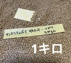 Item thumbnail for item 0a7a91de-7a67-4bce-8422-eaf5f2810f1e