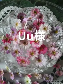 Uu様　専用ページ