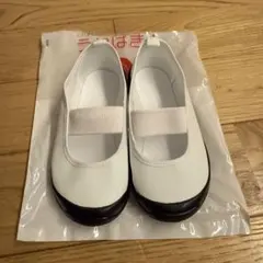 Item thumbnail for item a0c77865-aeb6-4e73-83c2-252e26db0c01