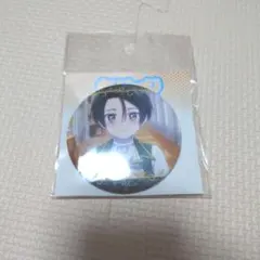 ◆ステイル 缶バッジ