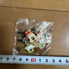 ディズニー ミニー キーチェーン
