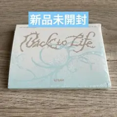 &TEAM Back to Life Mini CD-R ver.新品未開封