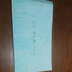 映画ただ、君を愛してる パンフレット