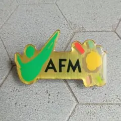 フランス雑貨 ビンテージ ピンバッチ ✤369 AFMのサムネイル