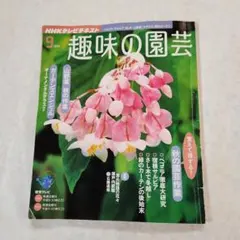 Item thumbnail for item c76b14f2-4487-4ae7-aa6f-bbde8bd7b301