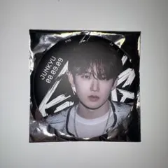 TREASURE KINGKONG 缶バッジ ジュンギュ