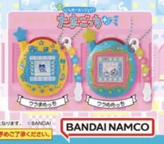 たまごっち ミニチュアチャームコレクション３ ウラまめっち ウラみみっち ガチャ