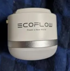 2026年最新】ECOFLOW ライト・ランタンの人気アイテム - メルカリ