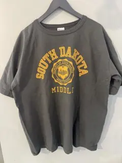 Champion ヘビーウエイトTシャツ　グレーカラー