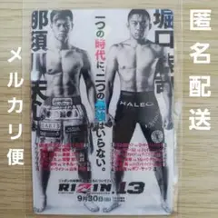 RIZIN 13 ポテトスティック　 No.82