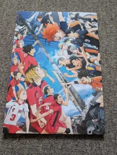 映画「ハイキュー！！ゴミ捨て場の決戦」パンフレット