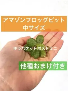 ღ魔百合ღ様 リクエスト 2点 まとめ商品