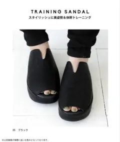 【antiqua】体幹トレーニングサンダル Lサイズ 即購入◎
