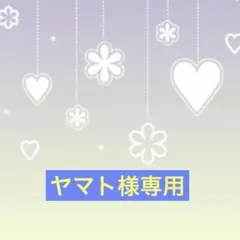 【ヤマト様専用】