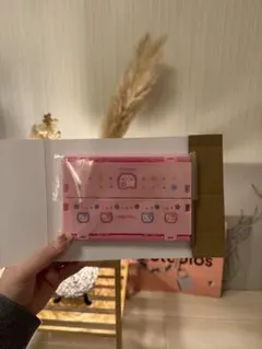 サンリオキャラクターズ　ミニおりたたみコンテナ　カプセルトイ