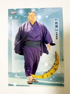 Item thumbnail for item 0303847f-b509-4c67-9a78-e25559c5cce1