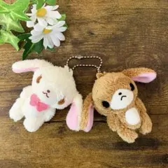 2025年最新】シュガーバニーズ ぬいぐるみ しろうさの人気アイテム