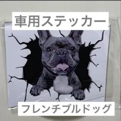 Item thumbnail for item 54122172-a4bf-4f7c-8fbf-abb5942bf593