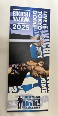 矢沢永吉50周年記念ライヴ「Doit‼︎」記念チケット