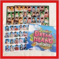 【新品未使用】Johnnys DREAM ISLAND ステッカー