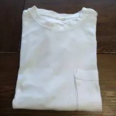 Item thumbnail for item 83fc78d5-a96a-47e6-b784-f652e70d65bc