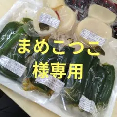 まめこつこ様専用