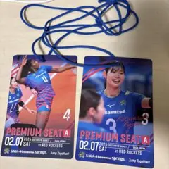 Item thumbnail for item af6c5a3c-edf1-4256-9563-86a9a892f6dd