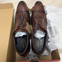 アシックス/texcy luxeTU8002 GORETEX 本革27cm