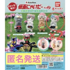 仮面ライダー　仮面にゃいだー その2 ビルド