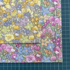 k23 リバティ×ハローキティ18×32cm 2枚セット タナローン 10g