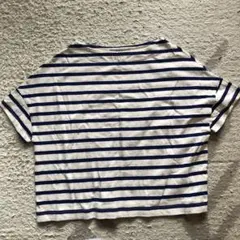 ナノユニバース