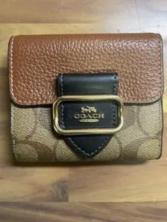 Item thumbnail for item 9ae7a63b-1405-4409-90e3-7730c2fa55ab