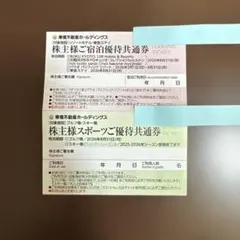 東急不動産ホールディングス 株主優待券 2025年12月発行 - メルカリ