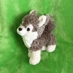 サンレモン　フラッフィーズ　オオカミ　ぬいぐるみ