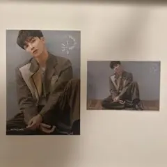 SEVENTEEN ジョンハン 舞い落ちる花びら フライヤー クリアポストカード